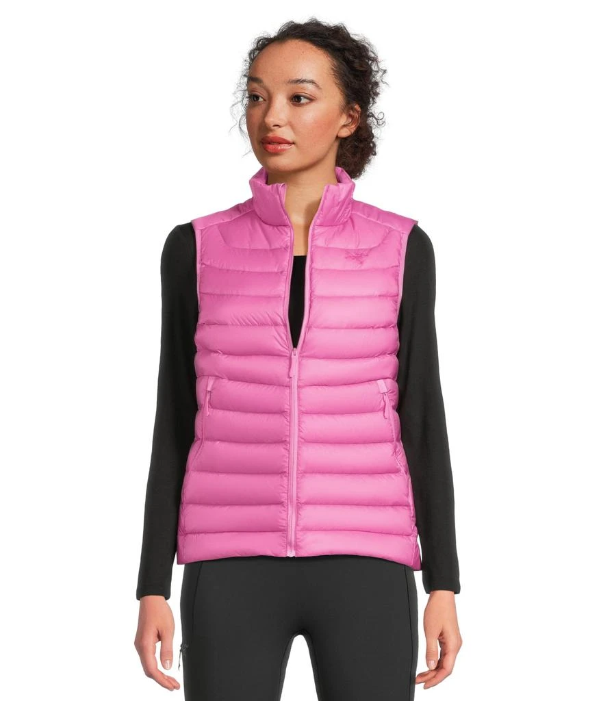 Arc'teryx Cerium Vest 1