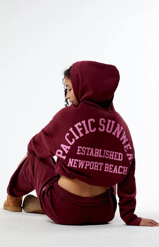 PacSun Pacific Sunwear Arch Bubble Cropped Hoodie 4