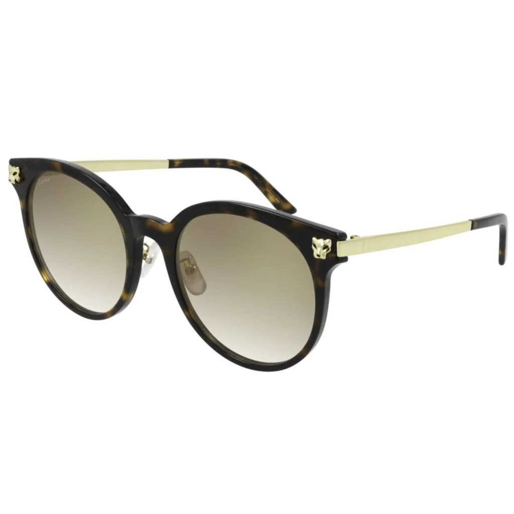 Ct0245sk002 Havana Gold Brown – On Sale Now with Up to 20  display picture 2