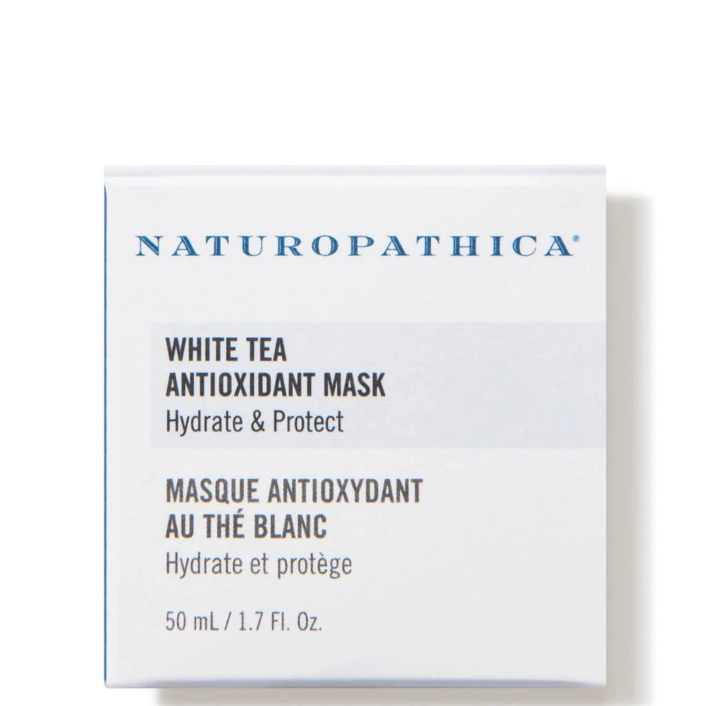 Naturopathica Naturopathica White Tea Antioxidant Mask 4