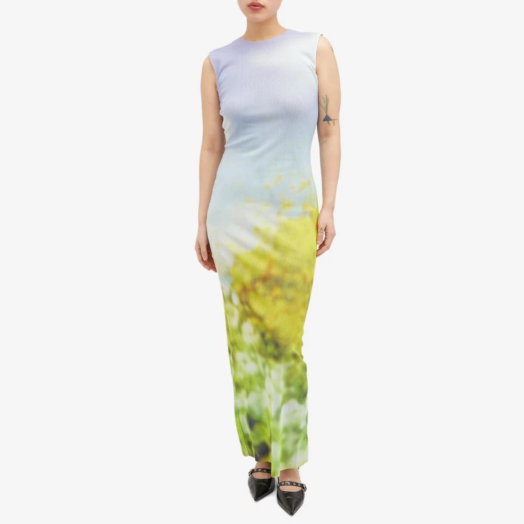 Acne Studios Acne Studios Landscape Maxi Dress 2