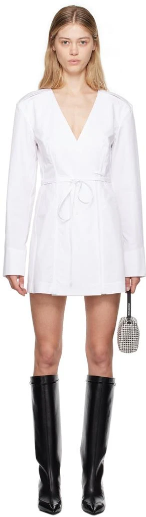 Alexander Wang Draped Asymmetric Minidress - Dresses & Skirts - Free  Shipping - BeyondStyle