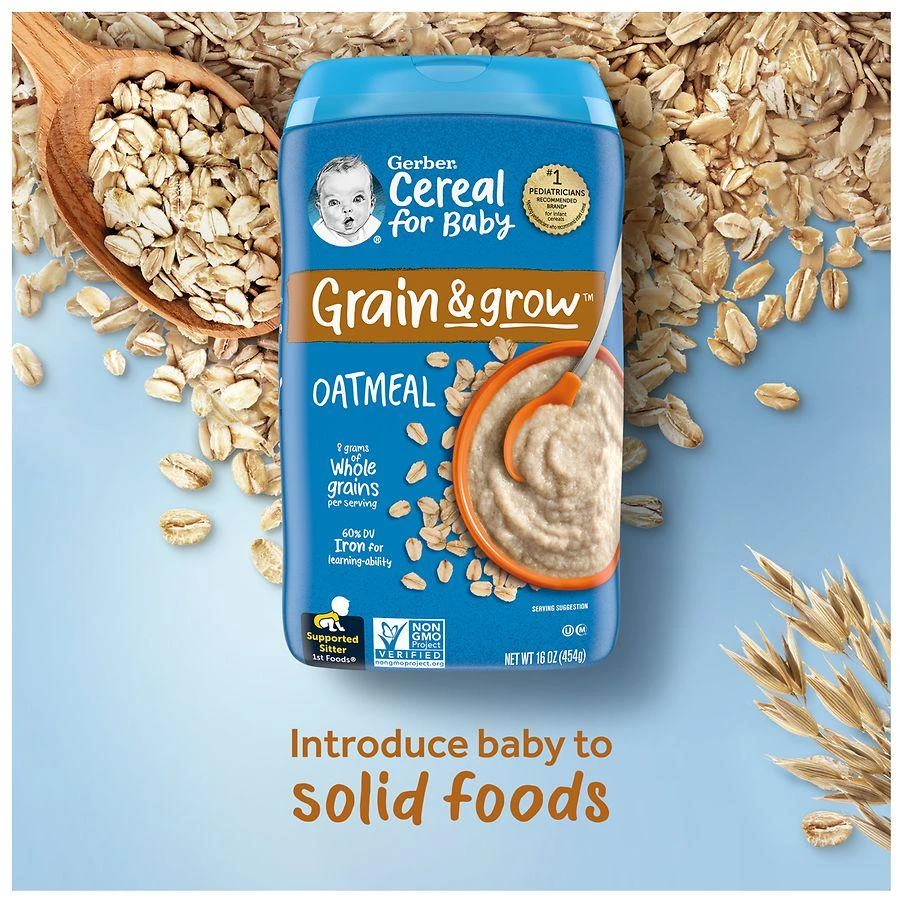 Gerber 1st Foods Grain and Grow Oatmeal 9