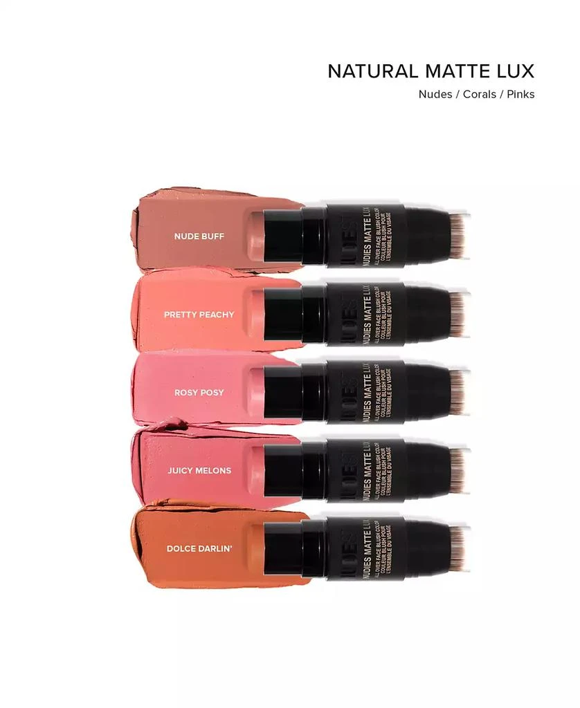 NUDESTIX Nudies Matte Lux All Over Face Blush Color 5