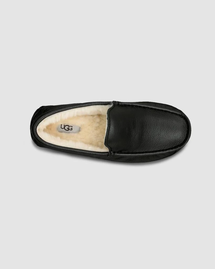 UGG Ugg - Men Ascot Slipper 3