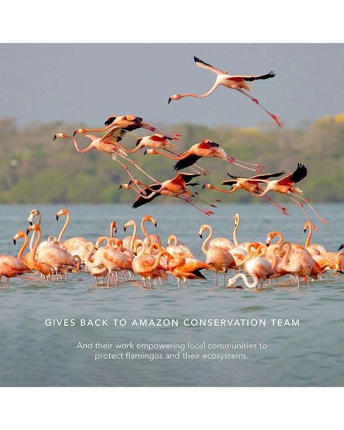 Chantecaille Dusk 
Dawn Eye Trios 6