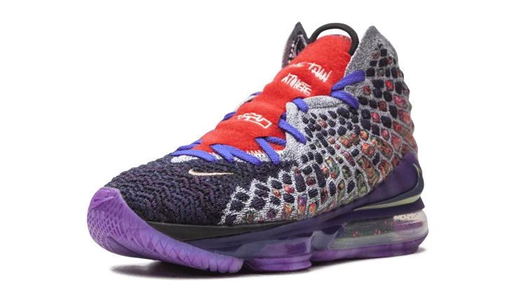 NIKE Nike LeBron 17 5