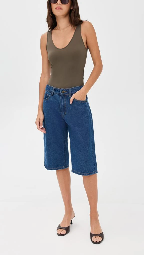 Lioness Kurt Jorts 4