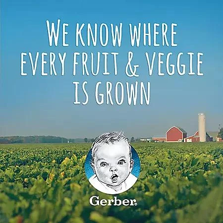 Gerber Gerber 2nd Foods Fruit & Veggie Variety Pack, 4 oz., 30 ct. 6