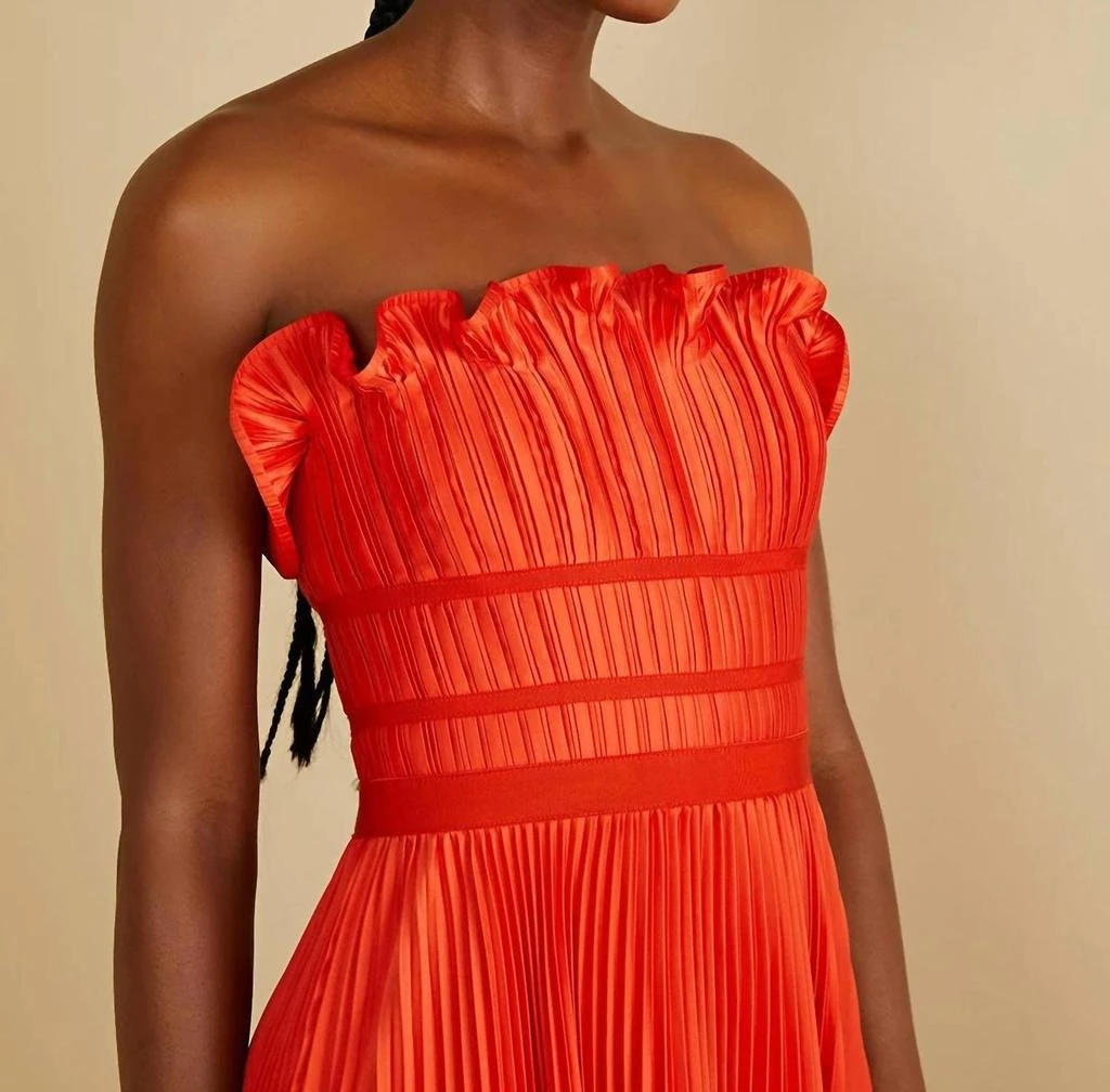 AMUR Amur - Losey Ruffle Neck Gown 4