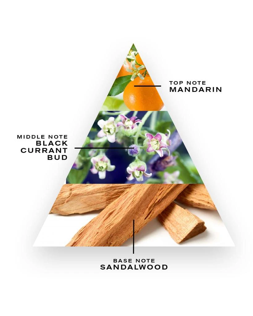 Creed Silver Mountain Water Soap 2