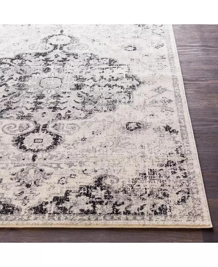 Surya Harput HAP-1061 Beige 3'11" x 5'7" Area Rug 4