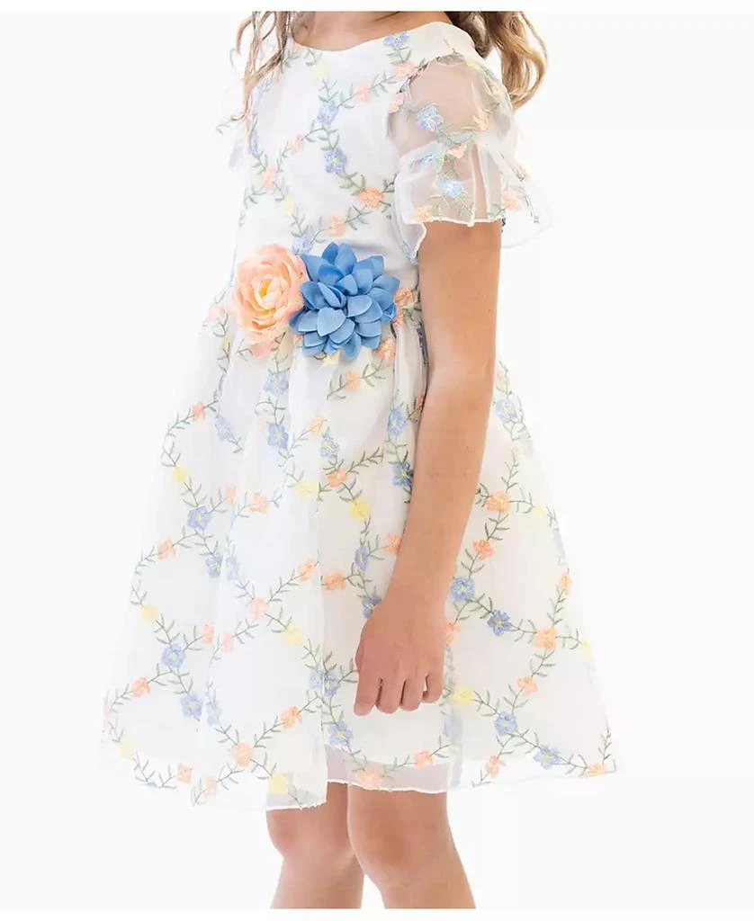 Rare Editions Toddler Girls 3D Floral Embroidered Social Dress 2