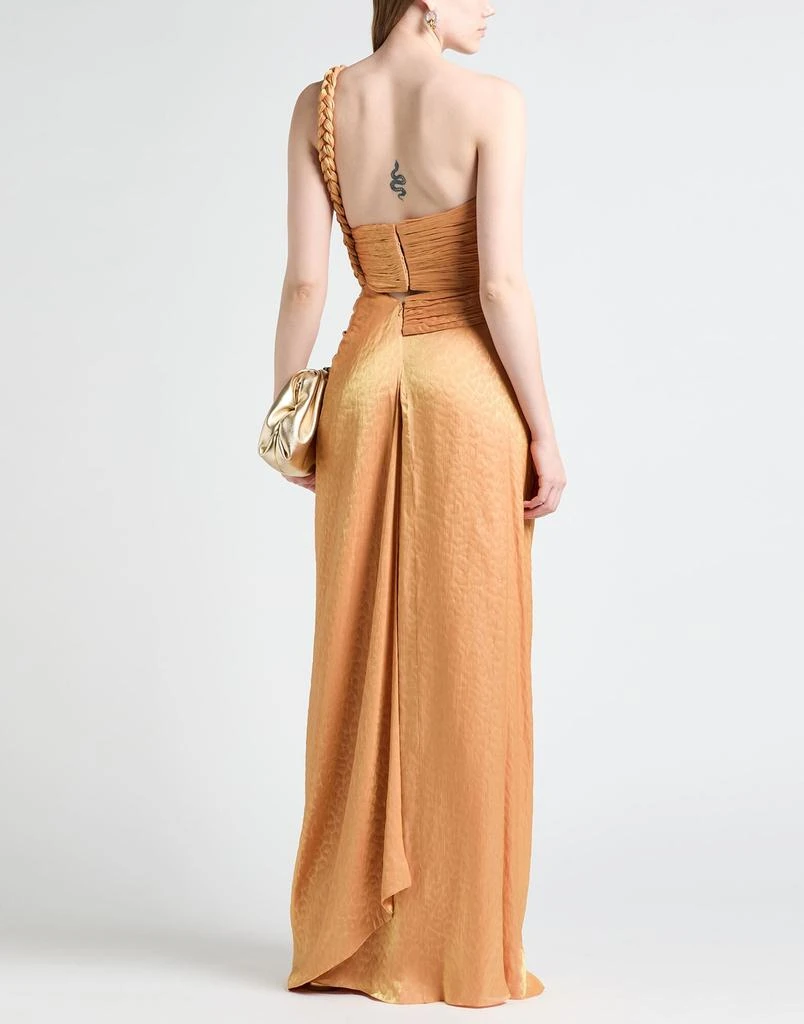 Costarellos Long dress 3