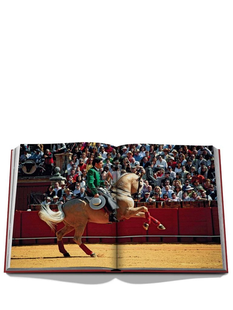 Assouline Sevilla Arte 2