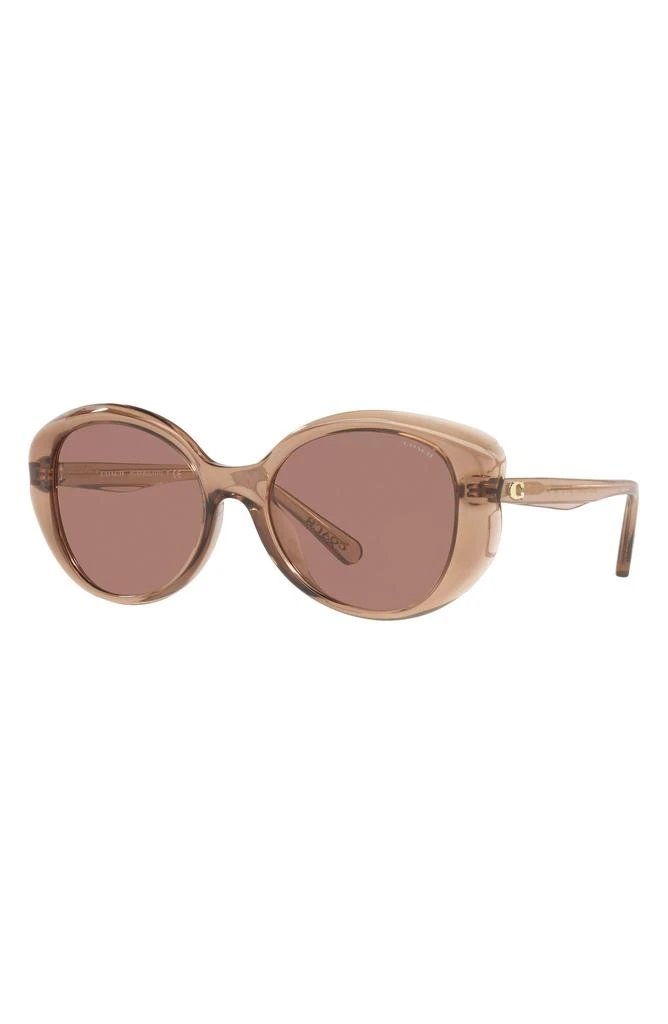 Coach 54mm Round Sunglasses 3