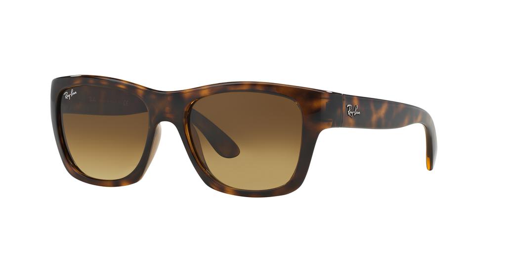 Ray-Ban Ray-Ban Unisex Sunglass RB4194