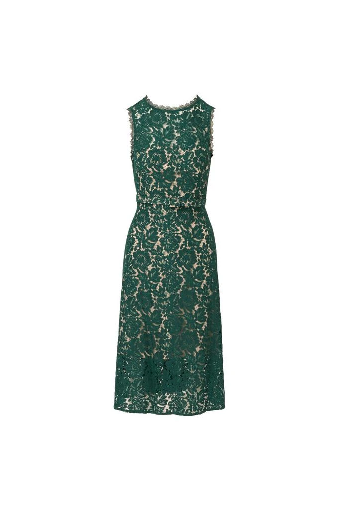 Adrianna Papell Lace midi dress 1