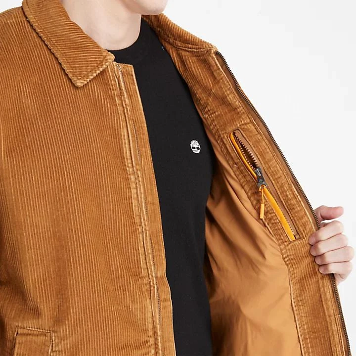 Timberland Corduroy Chore Jacket for Men in Brown 5