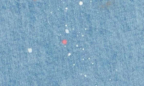 AG Phoebe Distressed Splatter Jeans 4