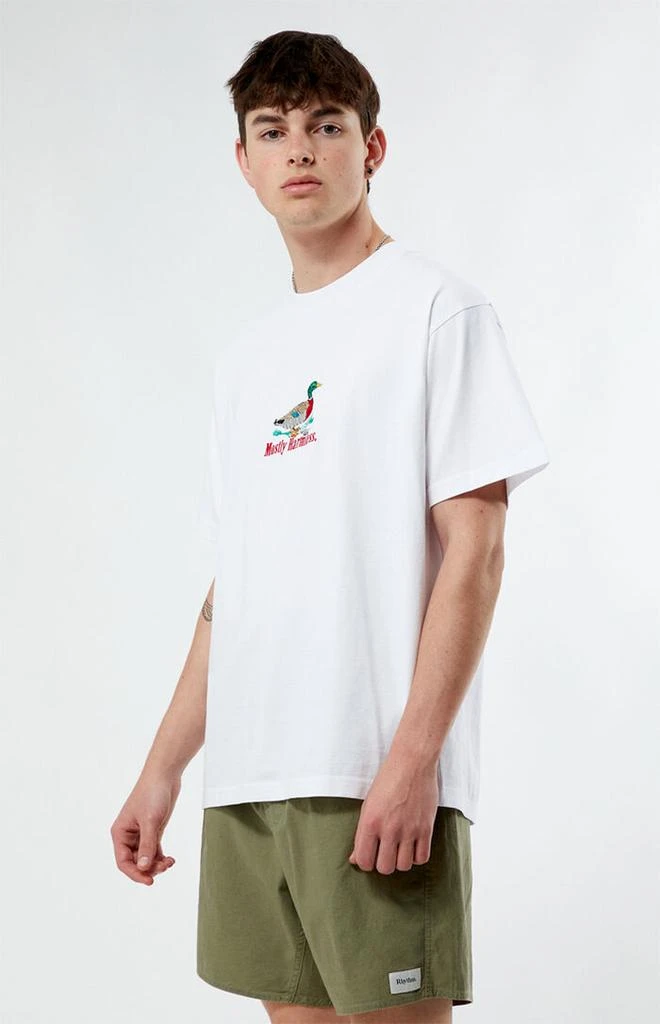 PacSun Mostly Harmless Embroidered Oversized T-Shirt 3