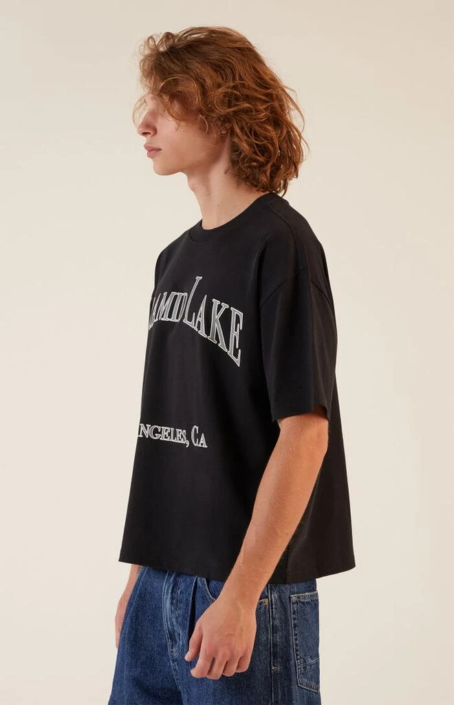 PacSun Lake Boxy Cropped T-Shirt 2