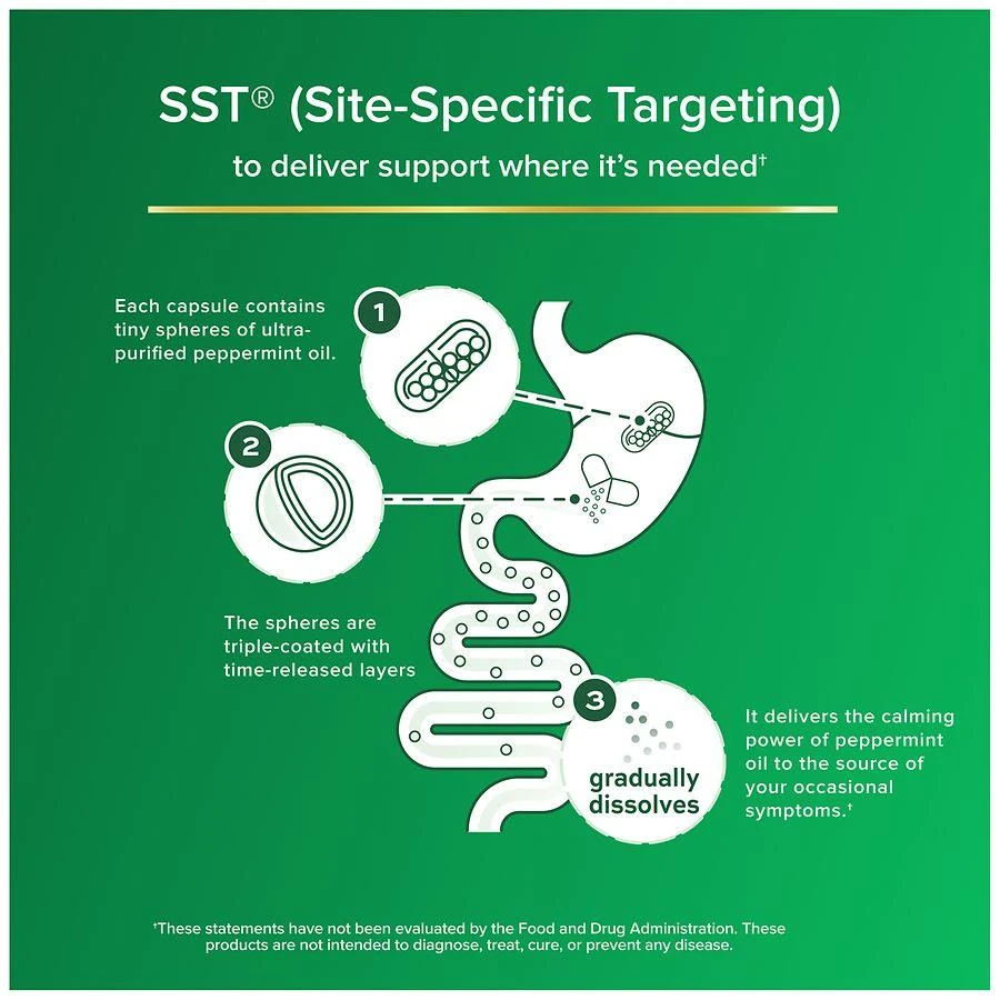 Ibgard Gut Health Supplement, Peppermint Oil Capsule for Abdominal Comfort 2