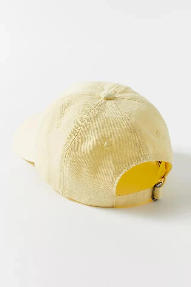 Urban Outfitters National Parks Baseball Hat 3