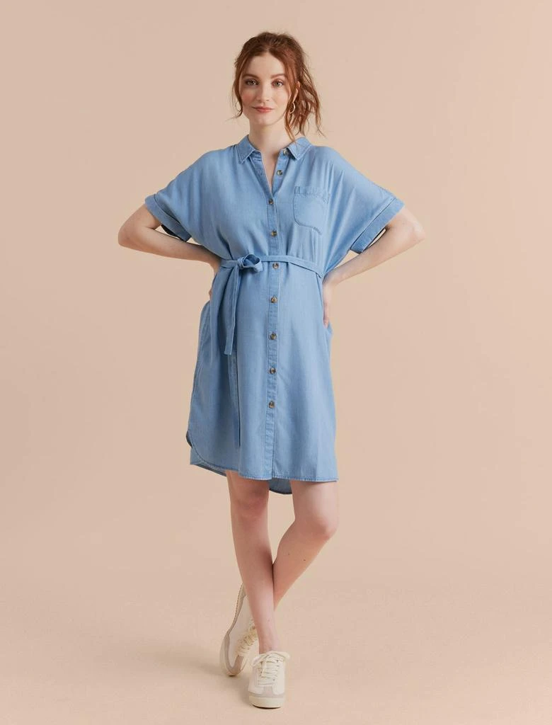 A Pea in the Pod Chambray Maternity Shirt Dress 3