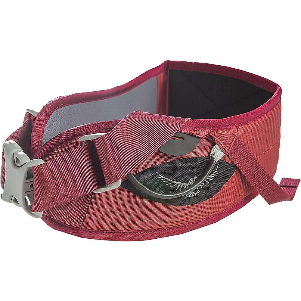 Osprey Osprey Variant Hipbelt 1