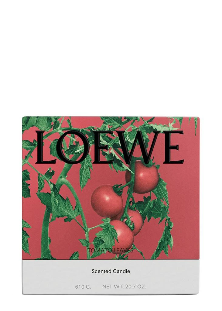 Loewe Tomato Leaves Candle - Medium 610g 2