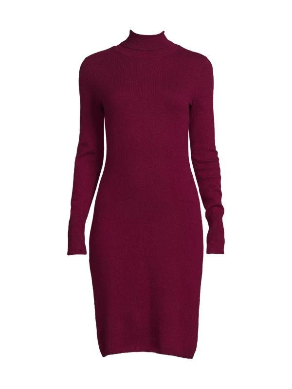 Sofia Cashmere Turtleneck Cashmere Sweater Dress 3
