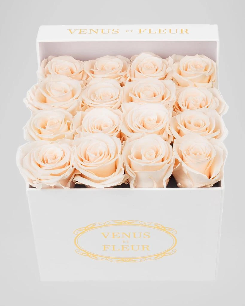 Venus ET Fleur Classic Small Square Rose Box 1