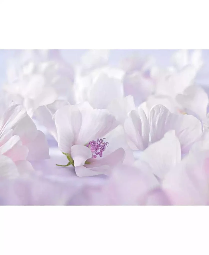 Weleda Sensitive Care Baby Diaper Care Cream with White Mallow Extracts 7