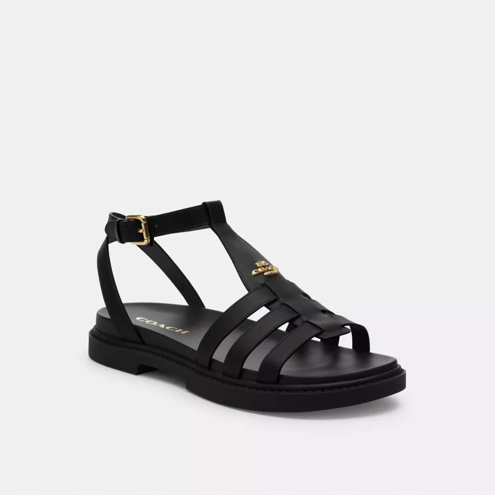 Coach Franny Sandal 2