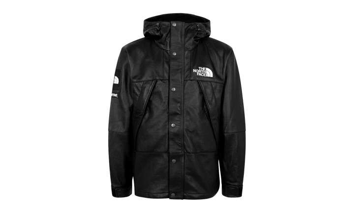 Supreme Supreme TNF Leather Mountain Jacket 1