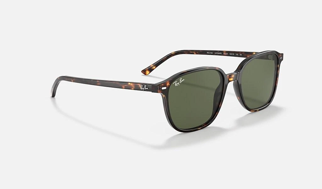 Ray-Ban LEONARD 6