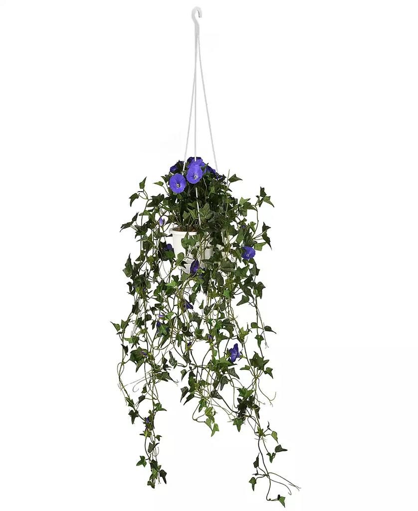 National Tree Company 44 Hanging Morning Glory Plant