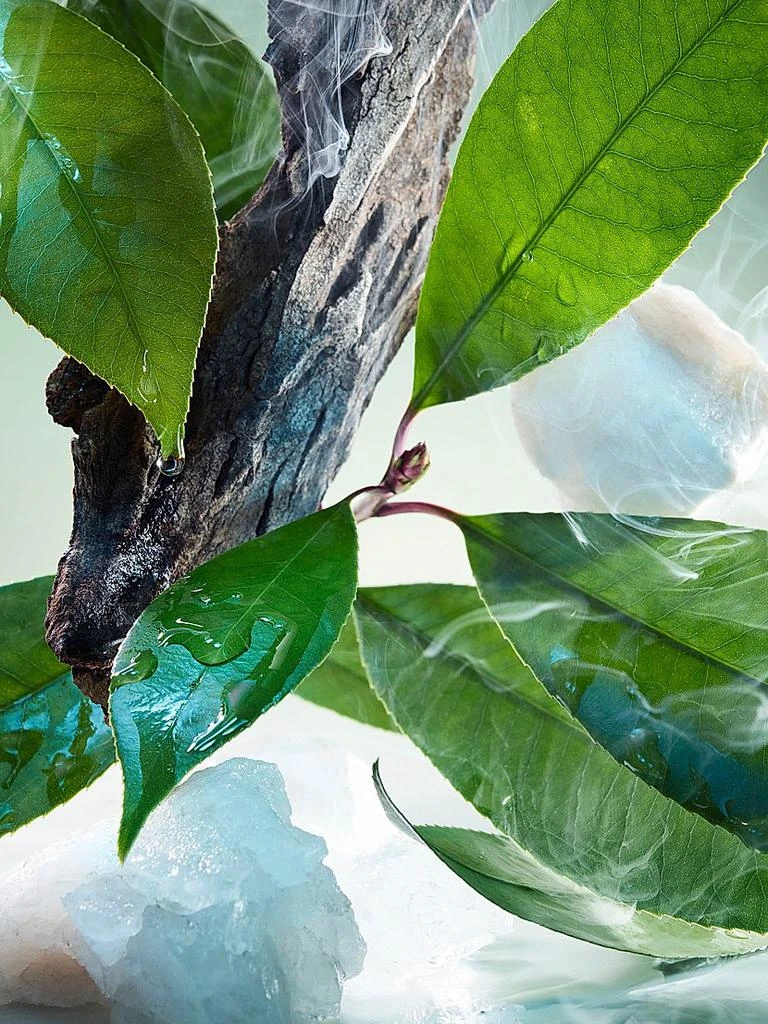 BVLGARI Pour Homme Eau de Parfum 4