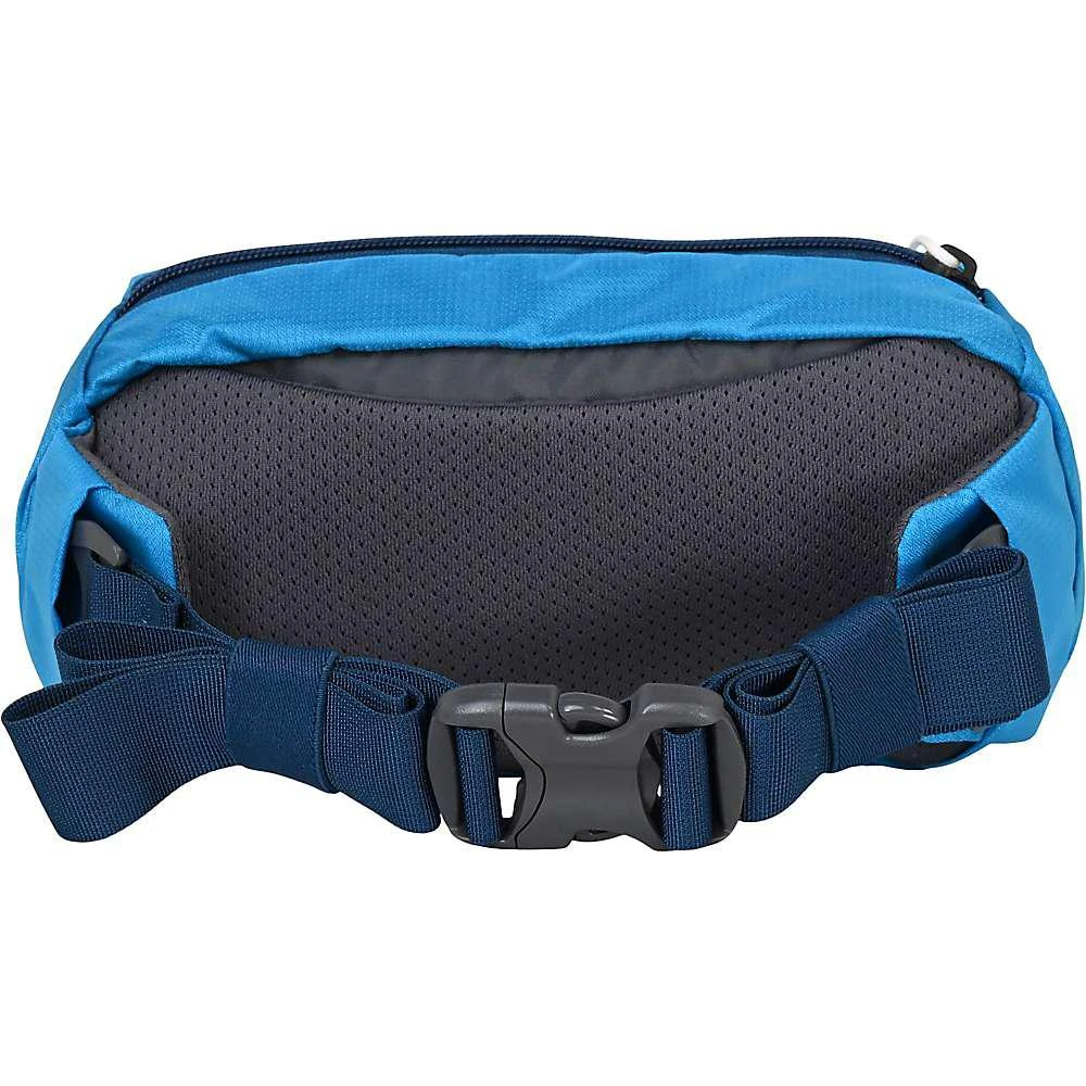 Mystery Ranch Mystery Ranch Forager Hip Mini Pack 4