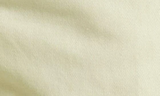 Obey Brighton Crop Carpenter Pants 4