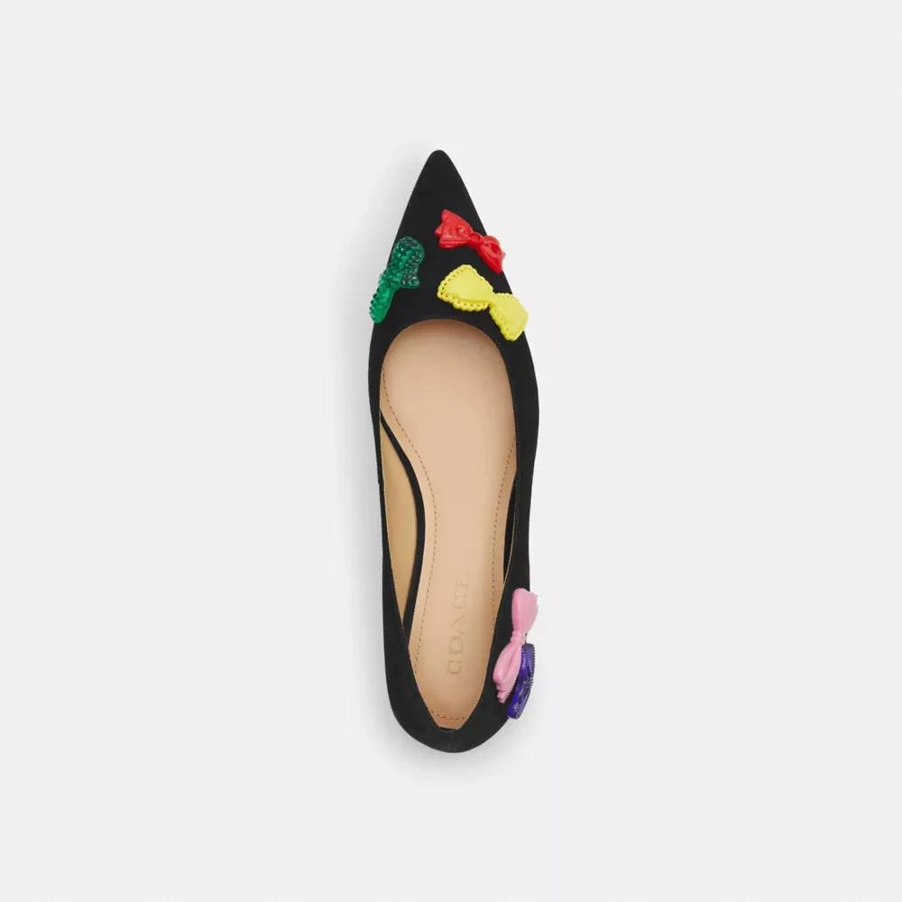Coach Daphne Flat 3