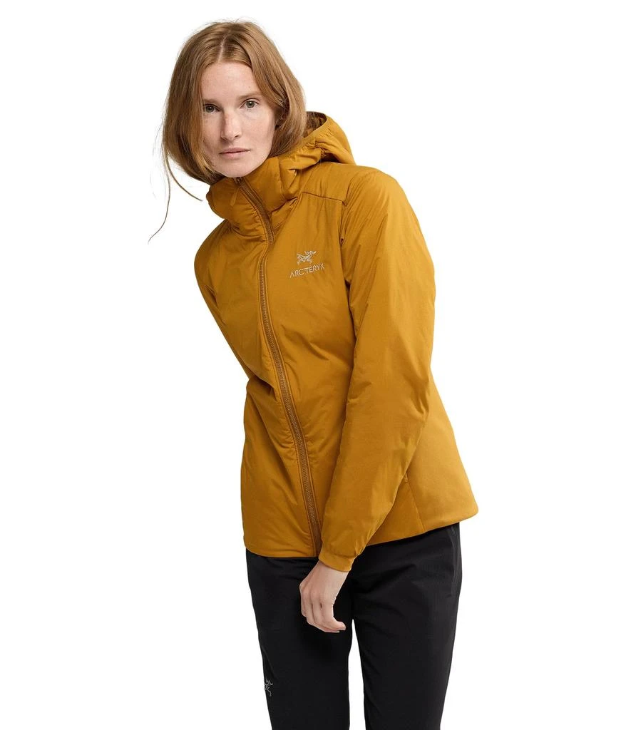 Arc'teryx Atom Hoody 1