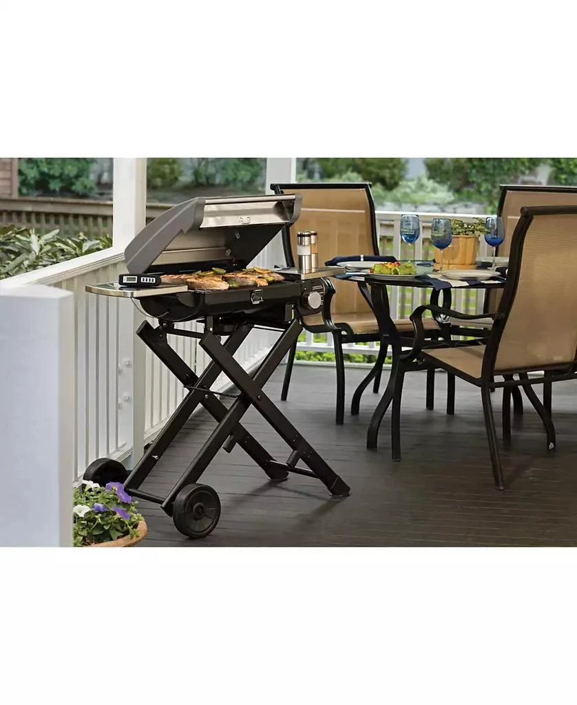 Cuisinart CGG-240 All Foods Roll-Away Gas Grill 11