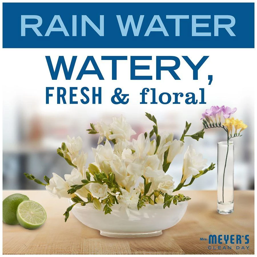 Mrs. Meyer's Clean Day Liquid Hand Soap Refill Rain Water 5