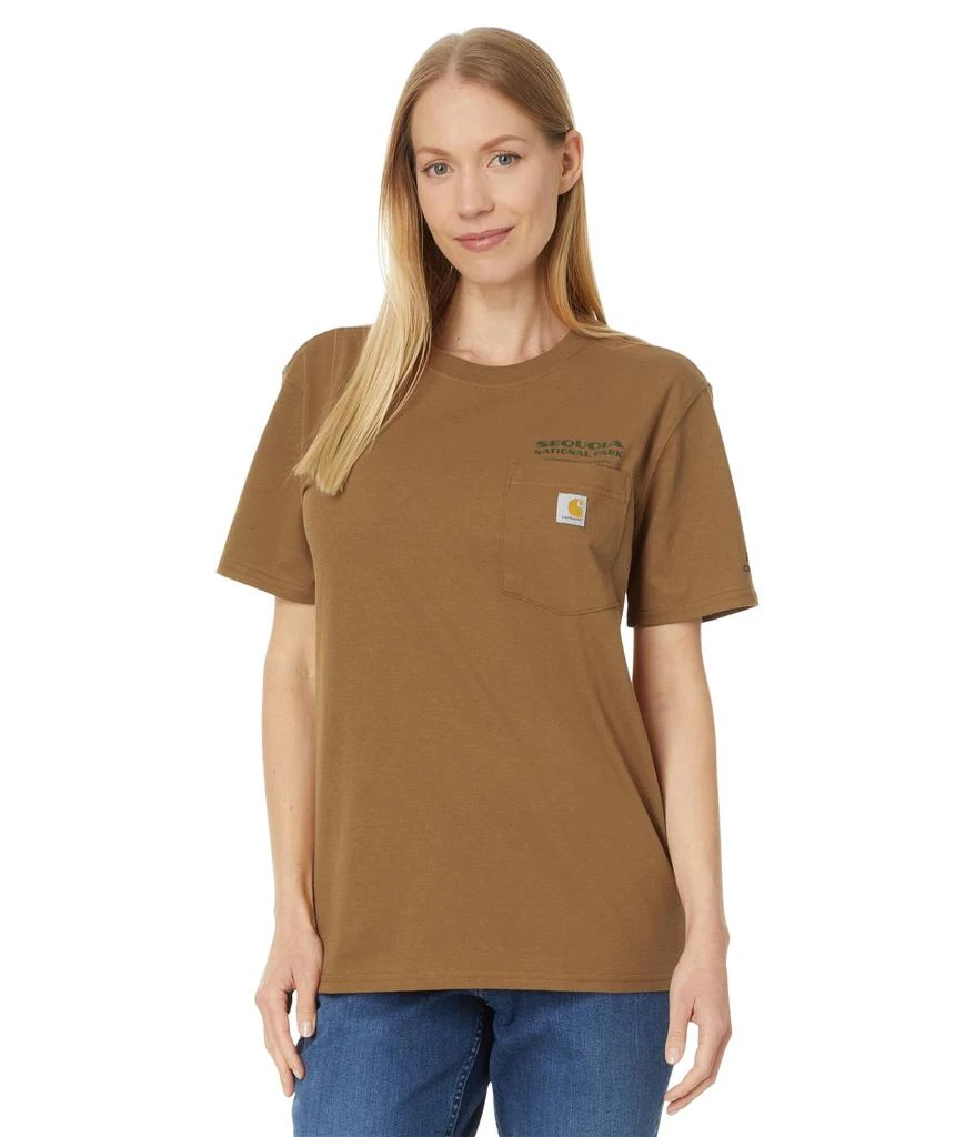 Carhartt Loose Fit Heavyweight Short Sleeve Sequoia National Park Graphic T-Shirt 1