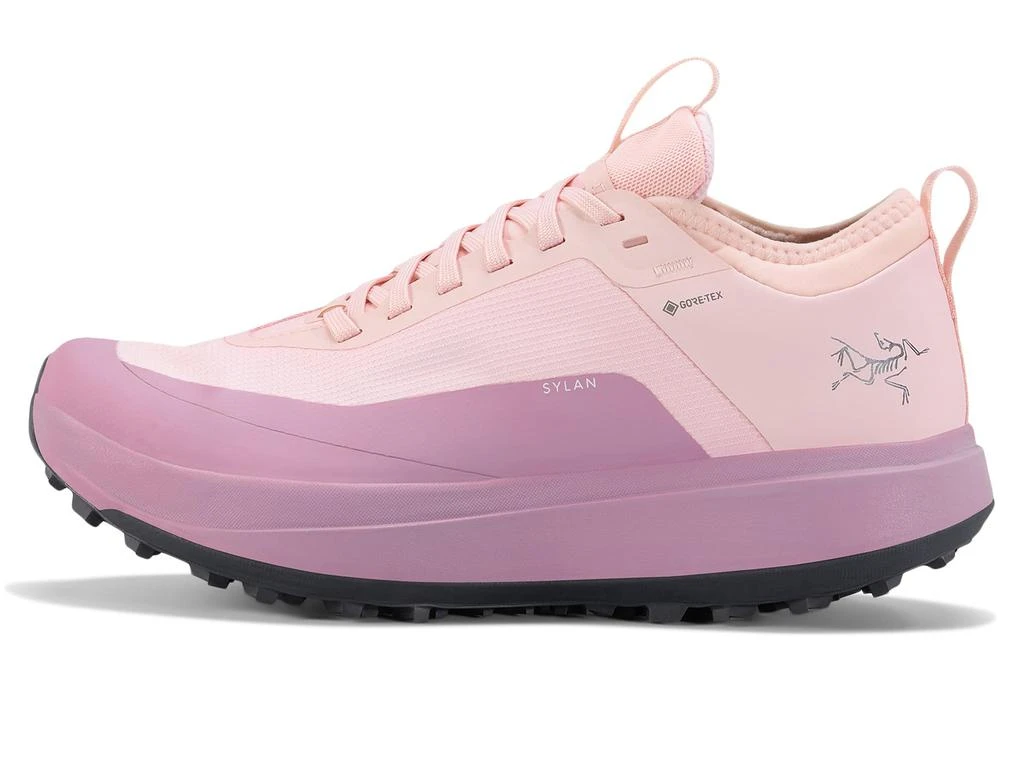 Arc'teryx Sylan GTX 1