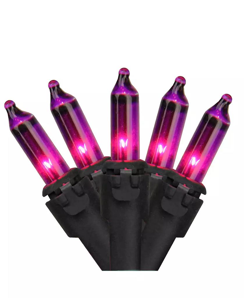 Northlight Set of 50 Purple Mini Christmas Lights 2.5" Spacing - Black Wire