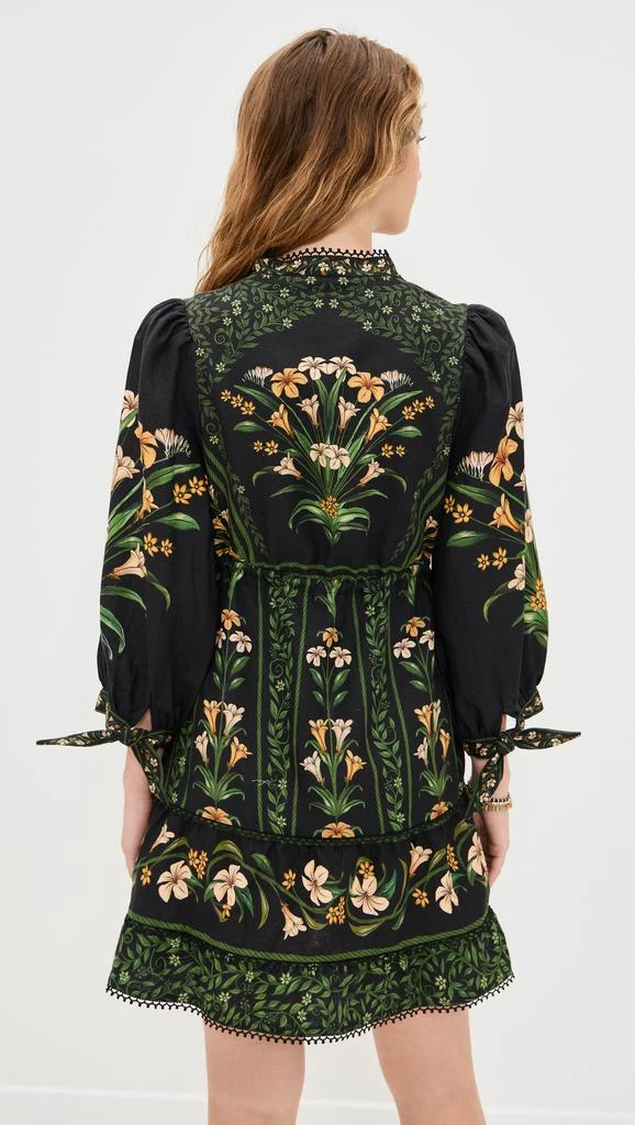 Farm Rio Flowers Arch Black Mini Dress 2