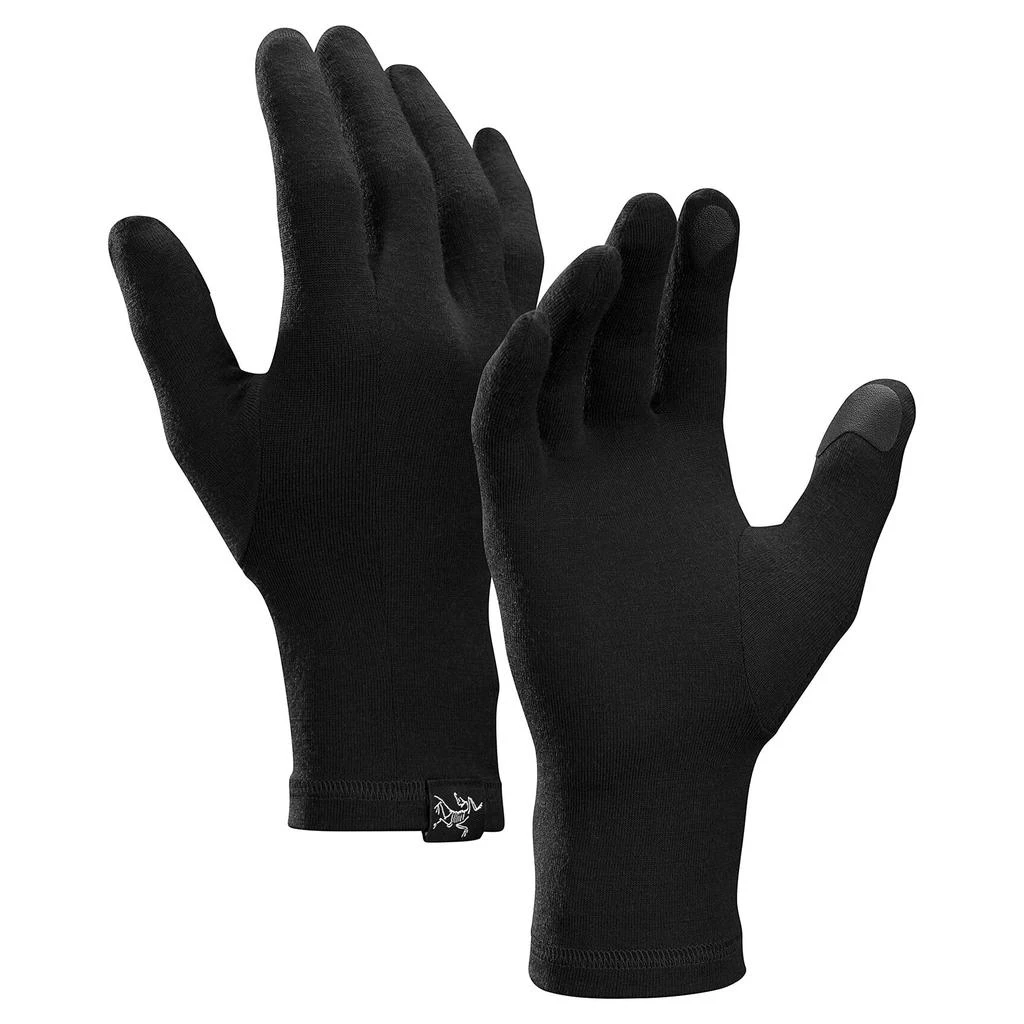 Arc'teryx Gothic Gloves 1